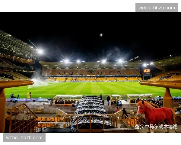 桑德兰控场能力分析，升班马防守组织优于控球表现